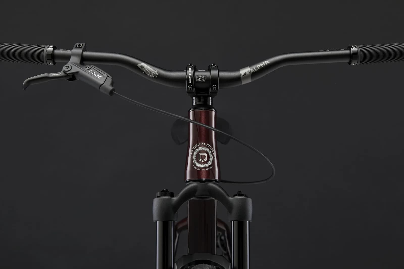 ABSOLUT BURGUNDY 2025 – miniatură 5