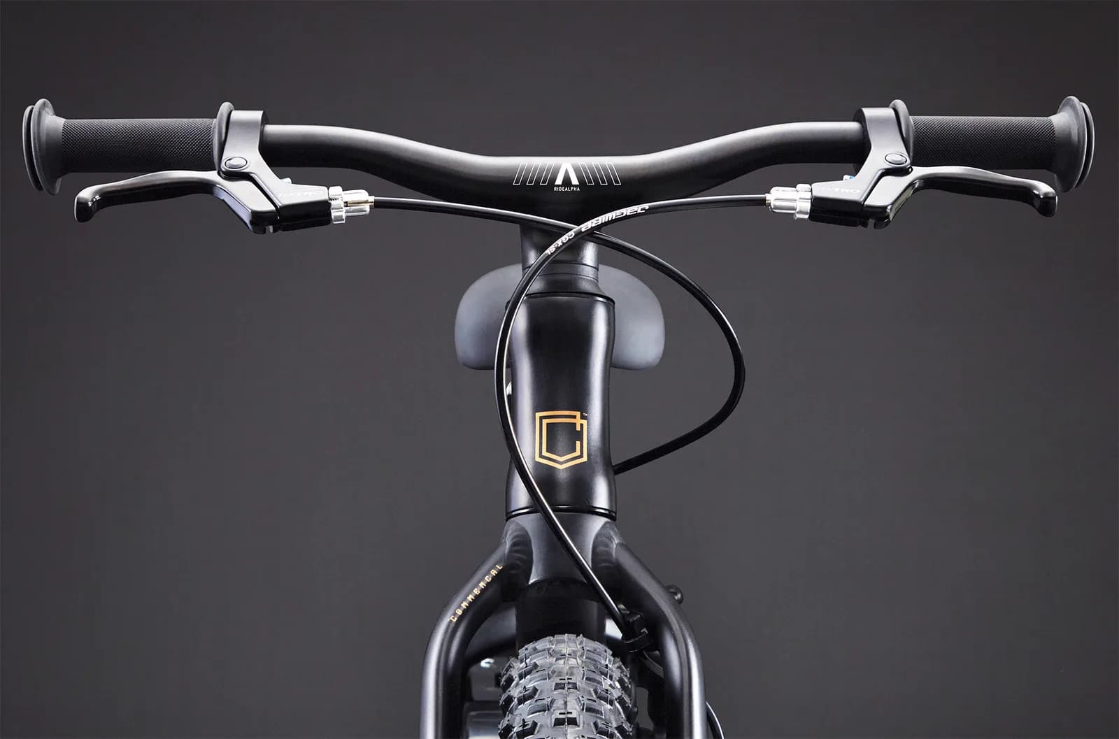 RAMONES 14 BLACK 2026 – miniatură 5