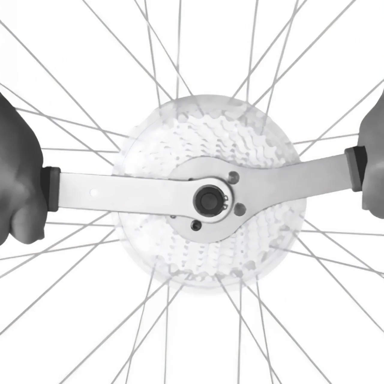 Cheie Pinion TB-FW41 – miniatură 2
