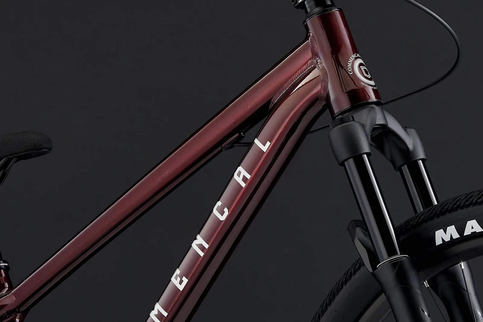 ABSOLUT BURGUNDY 2025 (7/7)