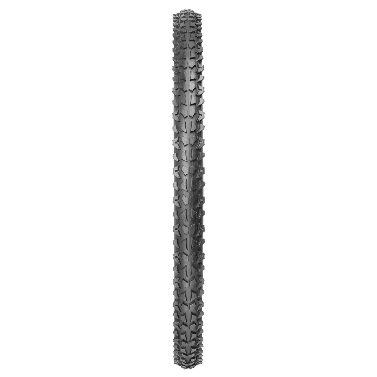 Anvelopa MR. RAMAPO 24x2.10 (54-507) (2/2)