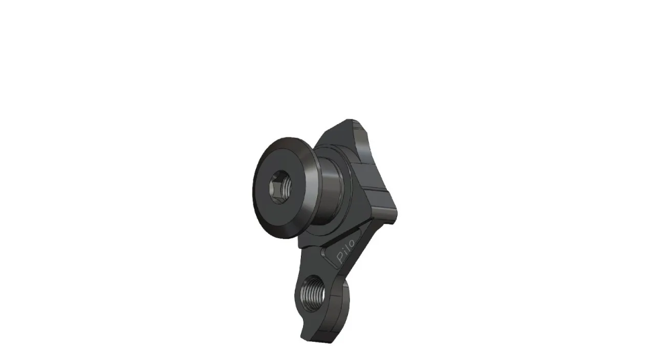 Ureche Cadru D1000 Canyon, SRAM UDH (6/6)