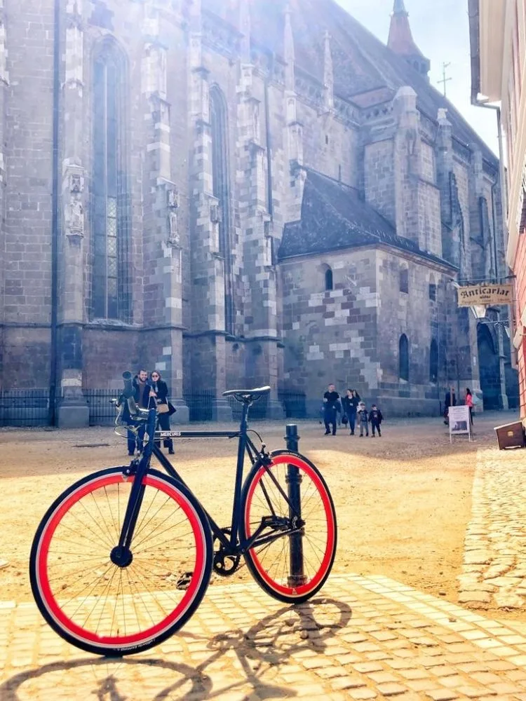 Bike MERCURIS 97 Black - Blue L - 580 mm (7/7)