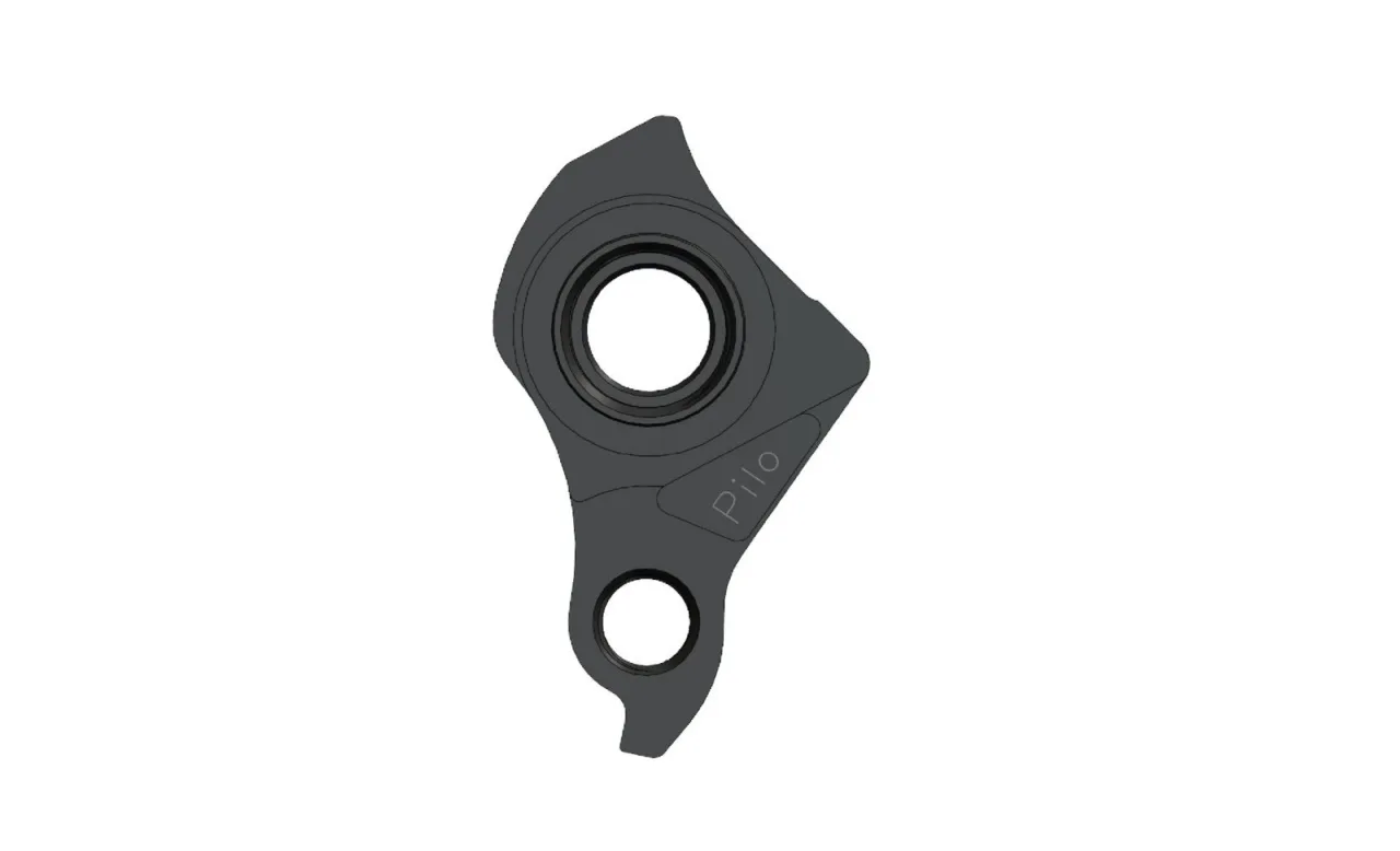 Ureche Cadru D1000 Canyon, SRAM UDH (1/6)