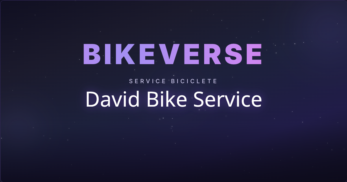 Service biciclete Timișoara — David Bike Service | Bikeverse